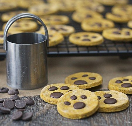 Love these! My furry friends couldn't get enough. Homemade Paw Print Dog Treats with melted carob chips and peanut butter too! www.livelaughrowe.com #dogtreats