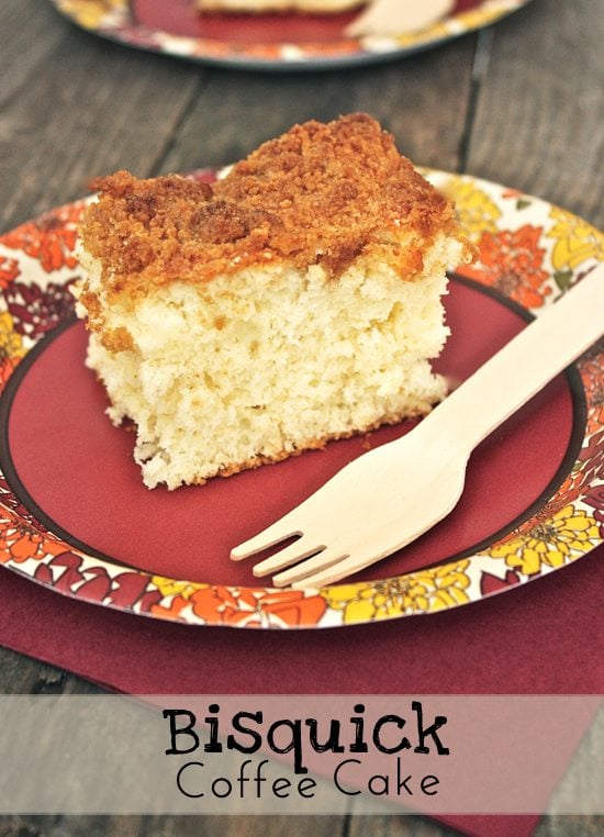 A nostalgic recipe that is a perfect combination of moist and crunchy!  This Bisquick Coffee Cake recipe is so easy to make, it's sure to become a weekend favorite!  Recipe at livelaughrowe.com 