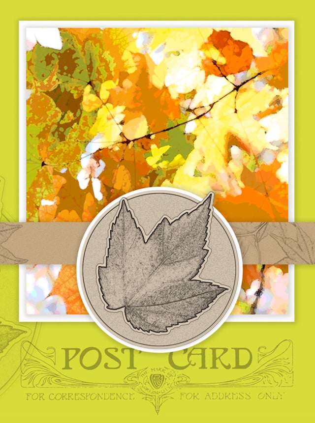 Maple Tree leaves are so colorful and beautiful. The fall leaves on this printable notecard are a lovely reflection of the season and all the beauty that comes with it. livelaughrowe.com