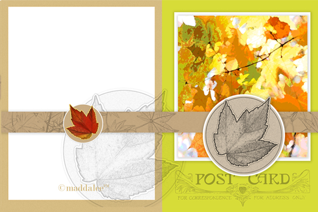 Maple Tree leaves are so colorful and beautiful. The fall leaves on this printable notecard are a lovely reflection of the season and all the beauty that comes with it. livelaughrowe.com