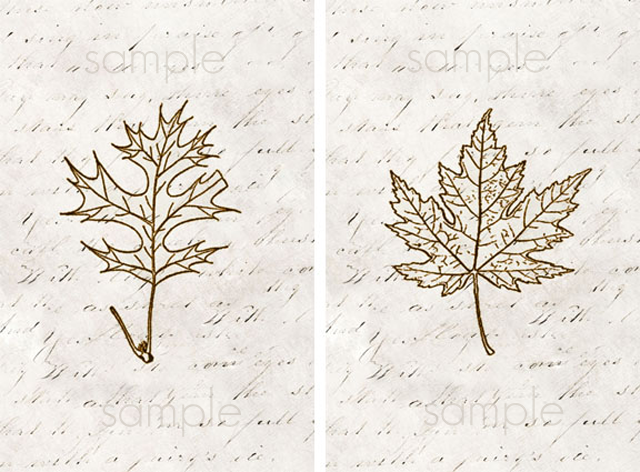 Printable Leaf Art. Maple and Oak Leaves with livelaughrowe.com