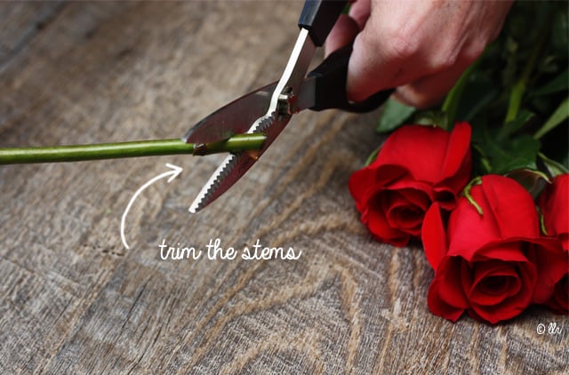 trim the stems, cutting at an angle using floral sheers