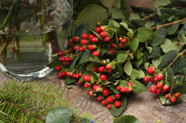 use hypericum and greens for filler in flower arrangements