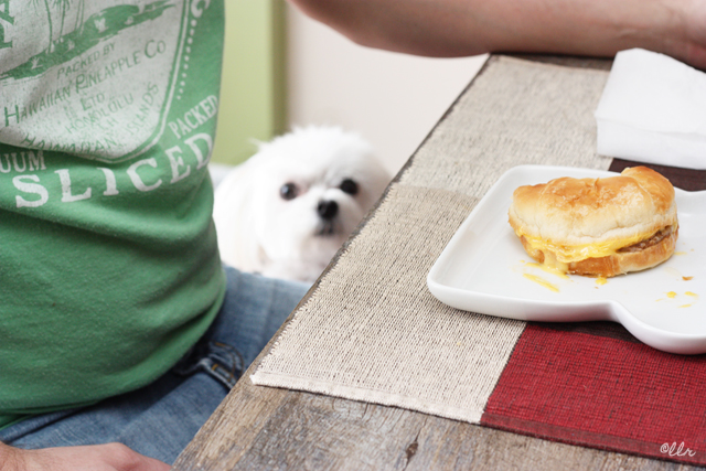 Even Parker wanted a taste of the Jimmy Dean goodness...