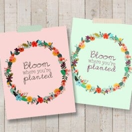 Colorful reminders to Bloom Where You're Planted. Free printables with livelaughrowe.com
