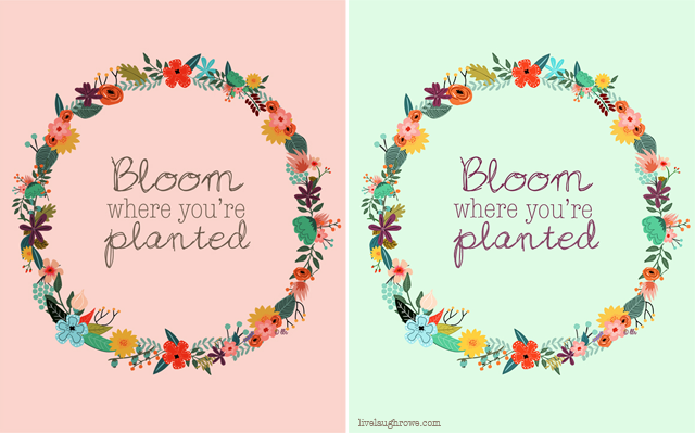 Bloom Where Youre Planted Printable Live Laugh Rowe