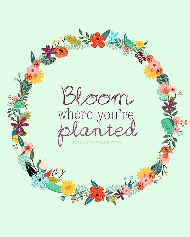 Such a great reminder!  Bloom where you're planted.  Two color options for this free printable too. livelaughrowe.com