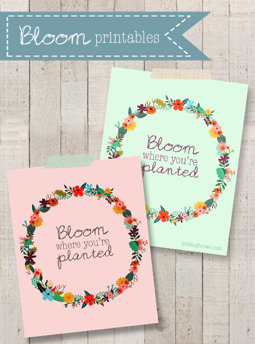 Colorful printables with a great reminder to Bloom Where You Are Planted with livelaughrowe.com