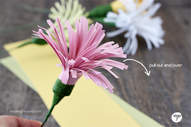 pull the paper out and over, allowing the paper flower to bloom