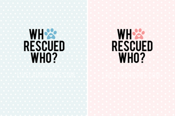Who Rescued Who? Printable - Live Laugh Rowe