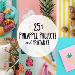 25+ DIY Pineapple Projects and Printables for you to enjoy!