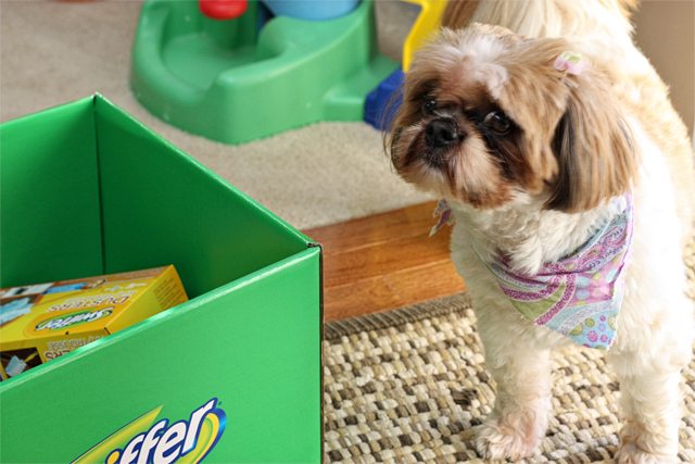 Swiffer. A pet owners "other" best friend! I love that I can keep my floors looking like new with the help of Swiffer. #swiffer effect