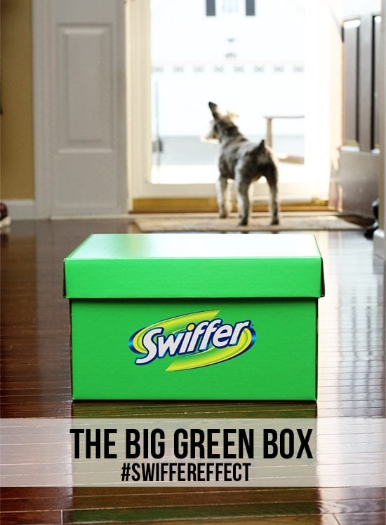 Swiffer. A pet owners "other" best friend! I love that I can keep my floors looking like new with the help of Swiffer. #swiffer effect