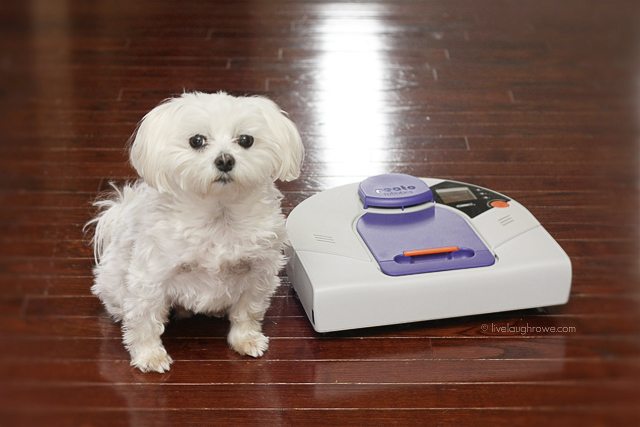 Schedule your vacuuming with Neato Robotics ® and enter the Best for Pets Sweepstakes!