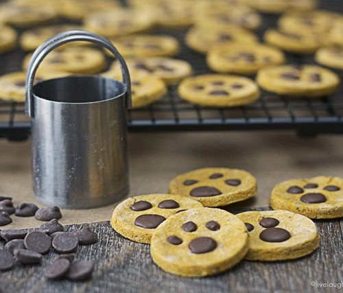 Homemade Paw Print Dog Treats