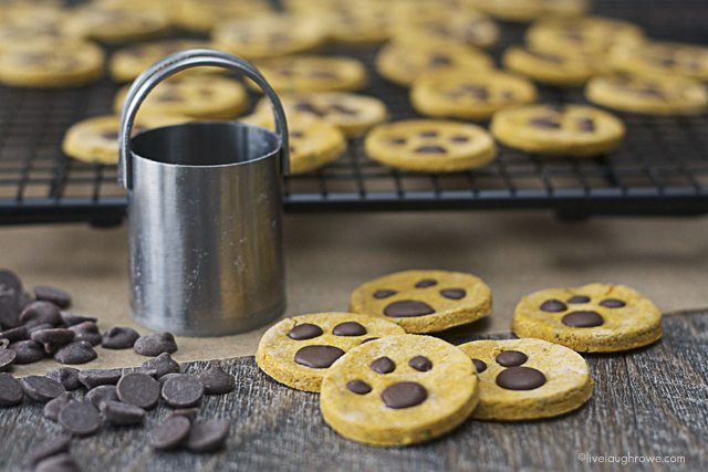 Homemade Paw Print Dog Treats