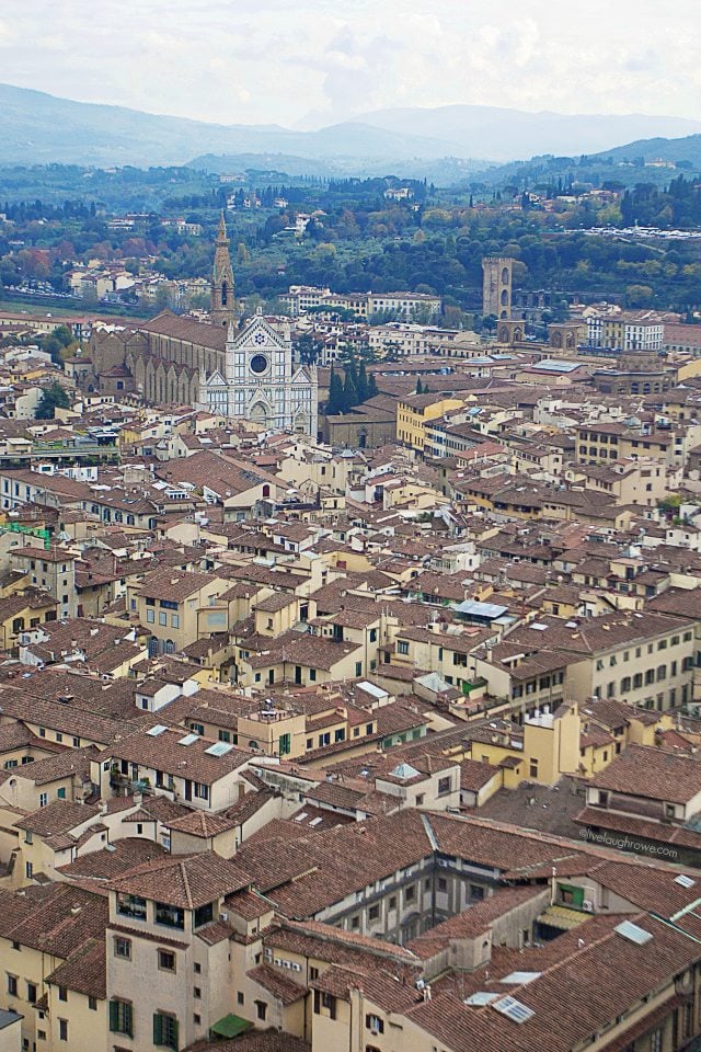 The beautiful view of Florence, Italy from the top of the Duomos Dome.  #florence #italy