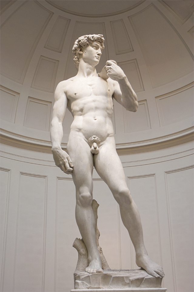 Michelangelo's Statue of David at the Accademia in Florence, Italy.  #florence #italy