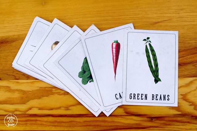 vintag vegetable nonmencalture cards