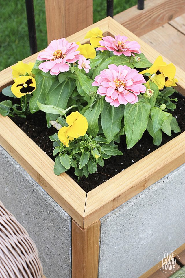 DIY Paver Planter Box. Great do-it-yourself planter box to display seasonal flowers! Tutorial at www.livelaughrowe.com #DIHWorkshop #sp