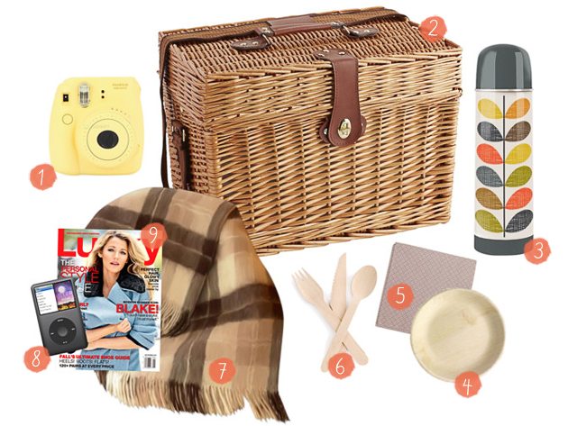 I love picnic season! These are some great picnic must-haves when planning the next family picnic or date night. www.livelaughrowe.com