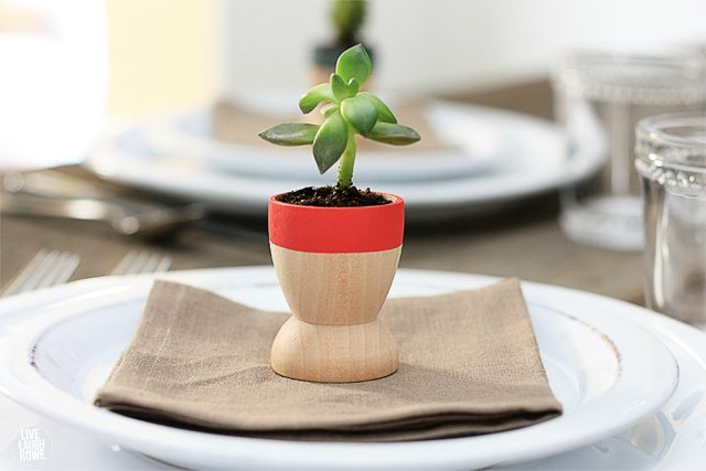 Adorable succulent planters! Easy and make lovely gift or favors. Tutorial at livelaughrowe.com