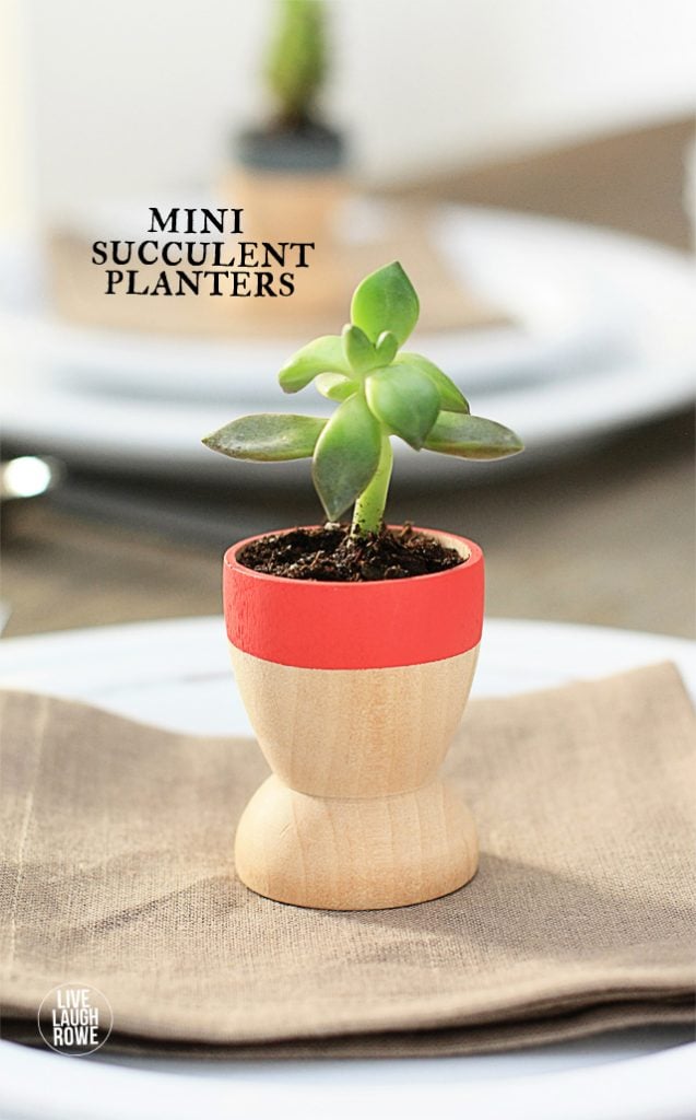 Mini Succulent Planters