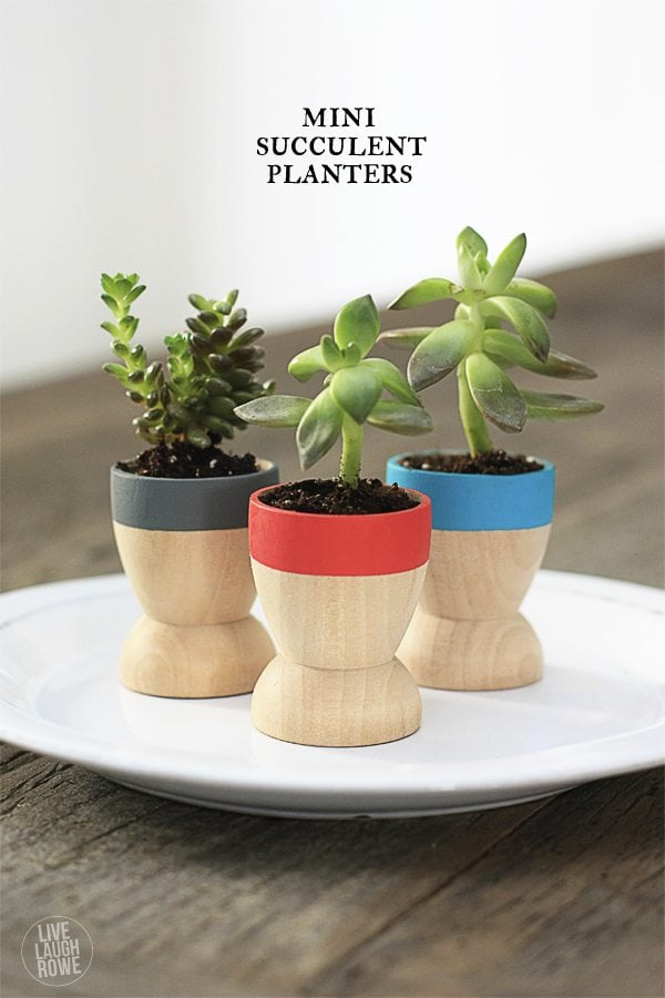 mini succulent planters