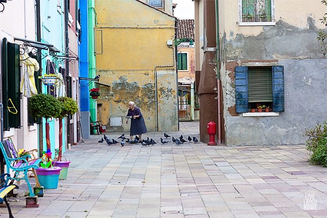 Capturing a woman feeding the pigeons on the Island of Burano. www.livelaughrowe.com