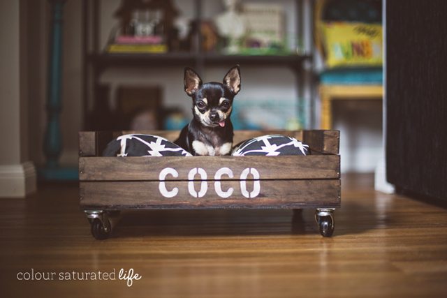 DIY Dog Bed by Colour Saturated Life
