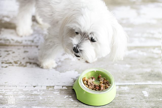 Knowing our dogs are happy and healthy is important to us! Filling their bowls with the goodness of healthy and the joy of happy means we've scored! livelaughrowe.com
