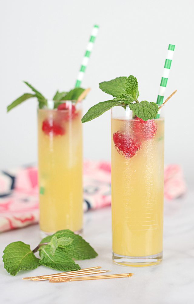 Play a little bartender this weekend and try your hand at this Raspberry Limoncello Cocktail. Perfectly crisp, tart and refreshing on a hot summer night.