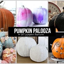 It's a Pumpkin Palooza featuring YOU!