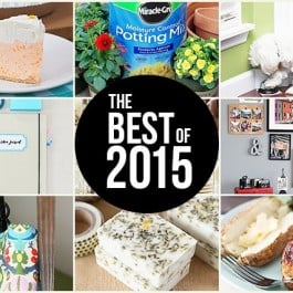 The "Best of 2015" at livelaughrowe.com! Swing by to see what YOU picked.