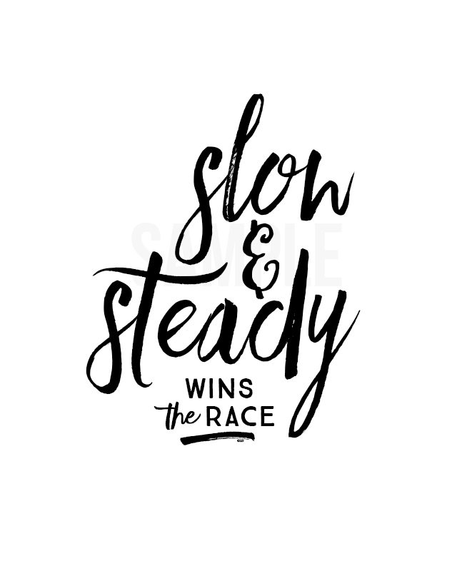 Image result for slow and steady wins the race