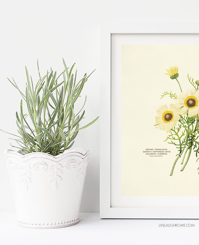 free-printable-wall-art-choose-from-two-spring-botanical-prints