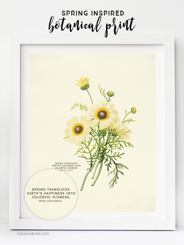 Free Printable Wall Art Choose From Two Spring Botanical Prints