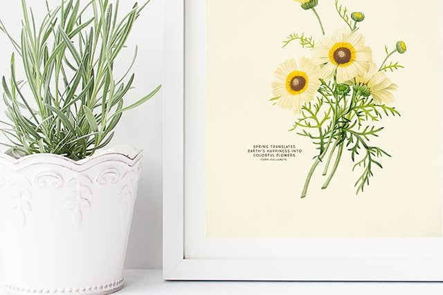 Free Printable Wall Art Choose From Two Spring Botanical Prints