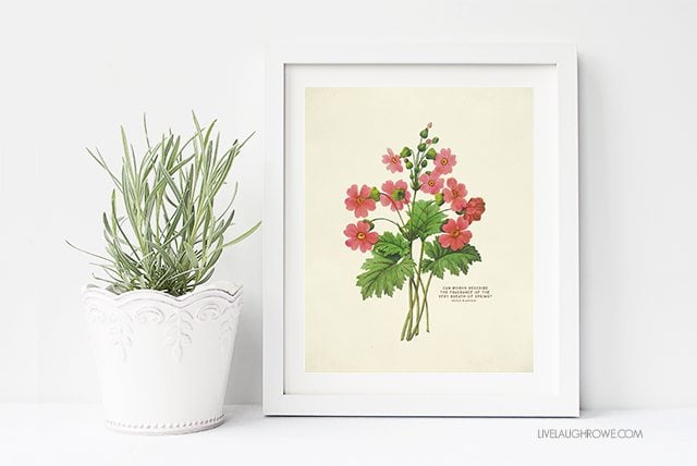 FREE Printable Wall Art. Choose from two Spring Botanical Prints!