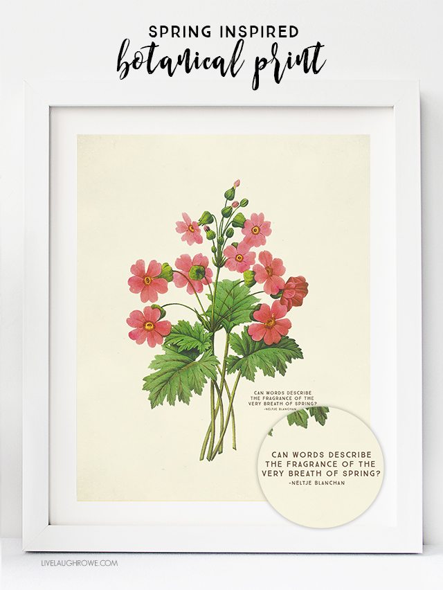  FREE  Printable  Wall Art  Choose from two Spring Botanical 