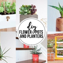 DIY Flower Pots and Plants for those with a green thumb!