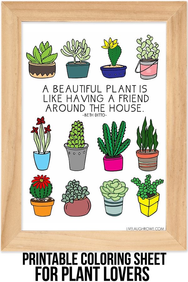 Coloring Sheet for Plant Lovers - Live Laugh Rowe