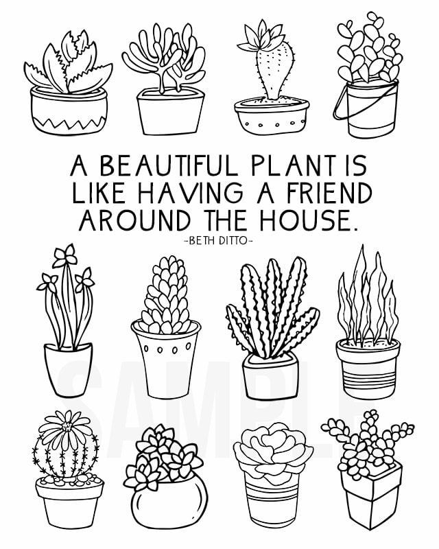 coloring sheet for plant lovers  live laugh rowe