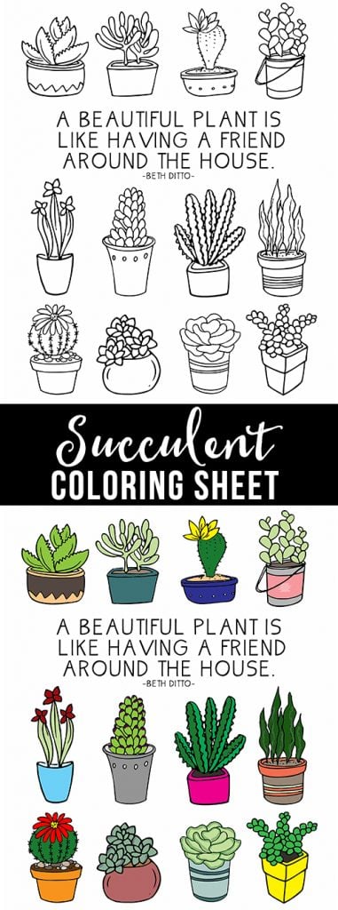 Fun coloring sheet full of succulents for plant lovers! livelaughrowe.com