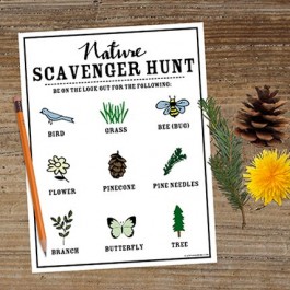 Fantastic nature themed Scavenger Hunt for kids! Grab some snacks and let's get started. livelaughrowe.com