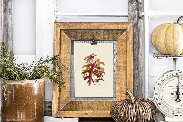 Add a little festive charm to you fall decor with this oak acorns and leaves printable. livelaughrowe.com