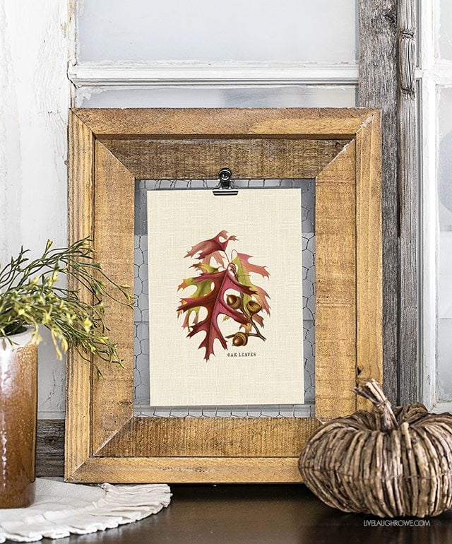 Add a little festive charm to your fall decor with this oak acorns and leaves printable. livelaughrowe.com