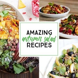 Fifteen amazing Autumn Salad Recipes to tempt your taste buds! livelaughrowe.com