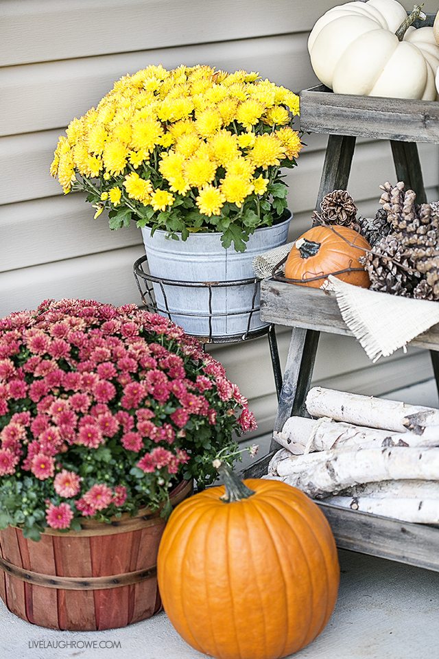 Fall Front Porch Decor to inspire you! Colorful Pumpkins, Corn Husks and a lovely sitting area. livelaughrowe.com