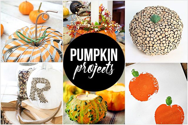 Pumpkin Projects | Party Time! - Live Laugh Rowe